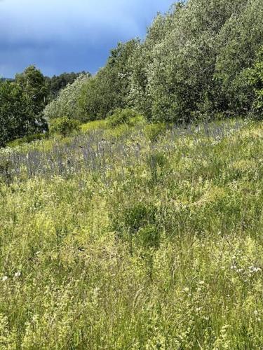 OSLO Exclusive estate - Close to Sea and City