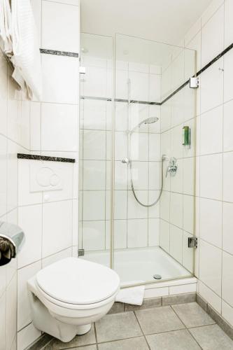 Baudobriga Rheinhotel - image 2