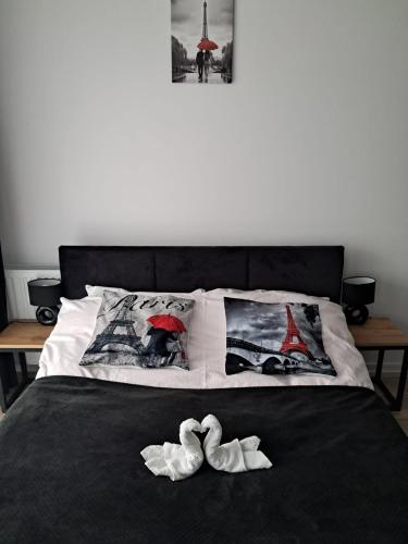 Apartament Diament 1 - Jezioro Nyskie