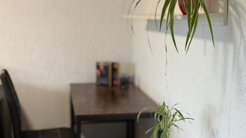 Gemütliche 2 Zimmer Wohnung Gemütliche 2 Zimmer Wohnung
