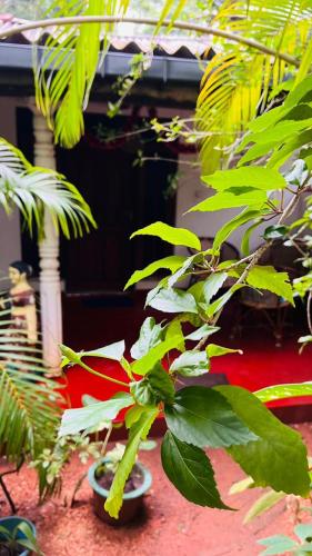 Sigiri KP Family Home