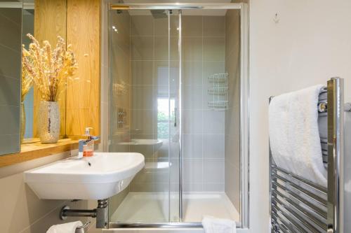 Wild Roses Serviced Apartments - Greenwich, Londýn (fotografie 7)
