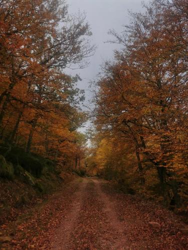Létesítmények, Hostal Cholo in Branosera