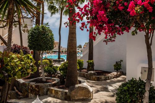 Bahia Calma Beach Bahia Calma Beach