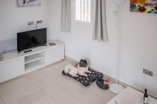 Bahia Calma Beach Bahia Calma Beach