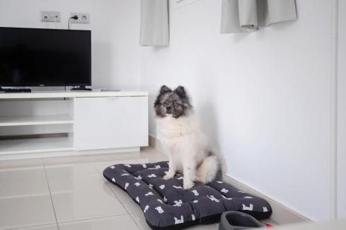 Bahia Calma Beach Bahia Calma Beach