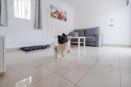 Bahia Calma Beach Bahia Calma Beach