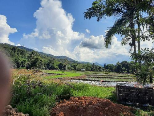 Eskol Valley Cottage - Ranau