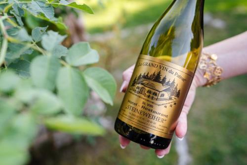 Hotel Steineweiher - image 8