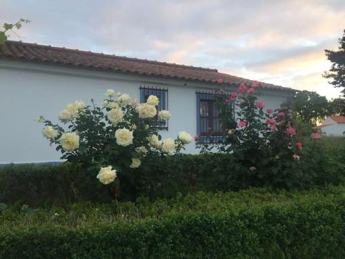 Country house Arraiolos Alentejo