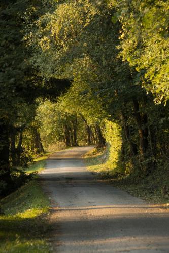 Horská chata Poustka Horská chata Poustka