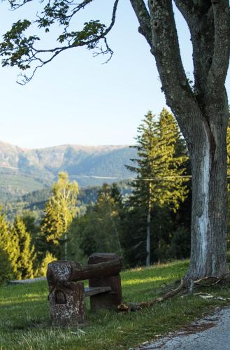 Horská chata Poustka Horská chata Poustka