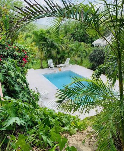 Bungalow accueillant à Le Diamant avec piscine partagée - Location saisonnière - Le Diamant