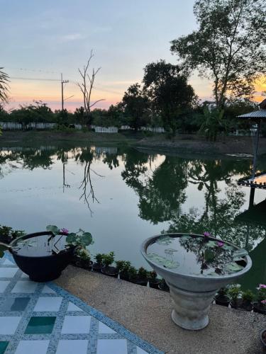 Cozy breezing countryside Pet Cozy breezing countryside Pet