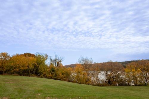 Vineyard & Craft House - Rare 6 bedroom Gem in Picton, Picton (fotografie 3)