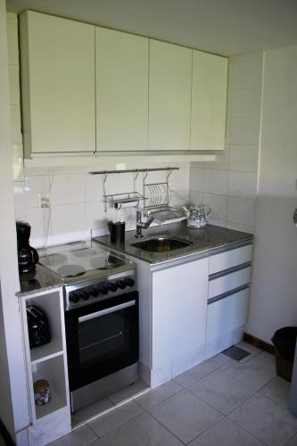 One-Bedroom Apartment image 10