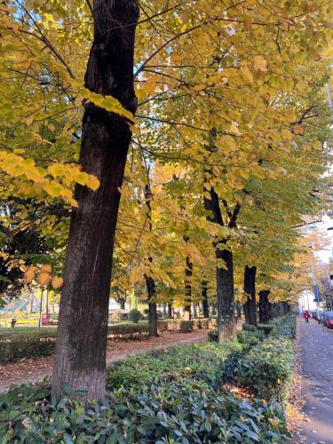 Orcagna 10 Elegante appartamento