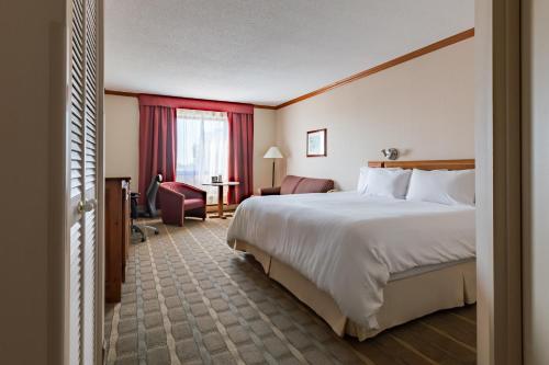 Business King Room