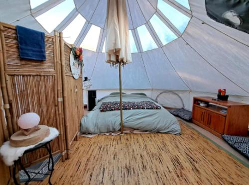Glamping On a Horse Farm With Mini Cows in Lakes Region! in Gilmanton, USA
