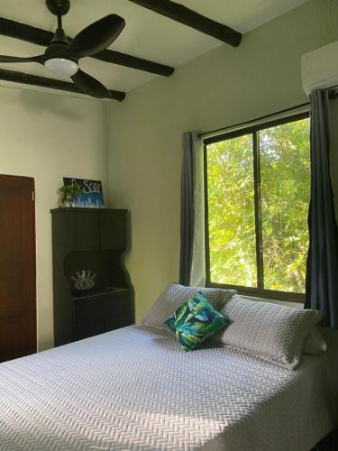 Wisdom BnB, Carrillo (fotografie 10)