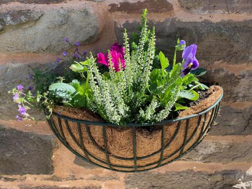 Garden, Cygnet Studio in Monmouth