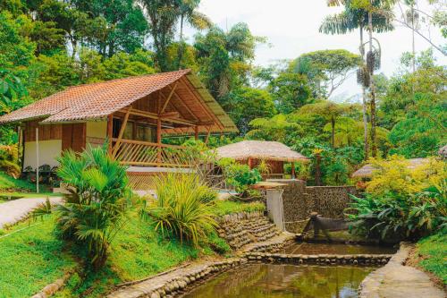 Apkārtne, Finca Las Palmas Ecolodge in Puyo