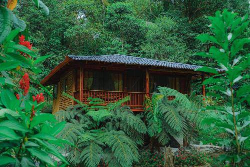 Finca Las Palmas Ecolodge in Puyo