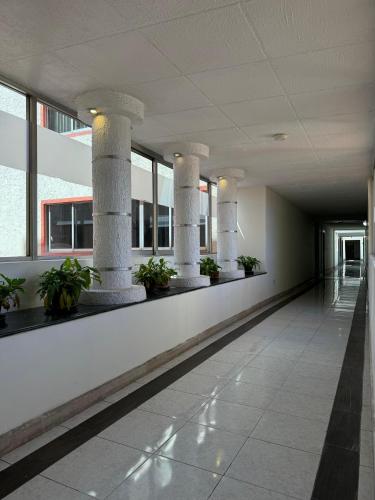 Hotel California CDMX in Mexico City, Mexico