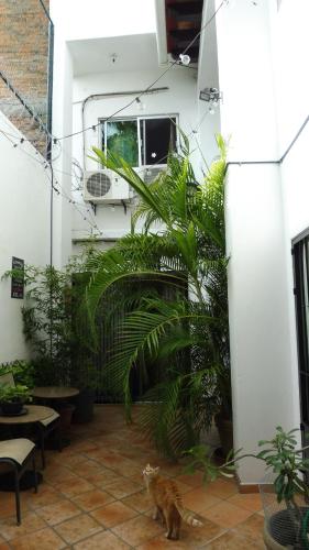 Posada Casa Adriana Sección Económica in Puerto Vallarta, Mexico