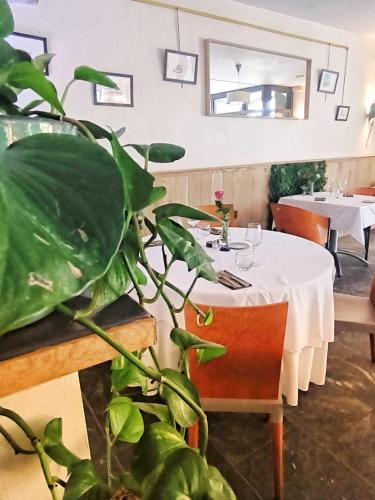 Étterem, Château d'Arance Hôtel Restaurant Espace bien-être (Chateau d'Arance Hotel Restaurant Espace bien-etre) in Cette-Eygun