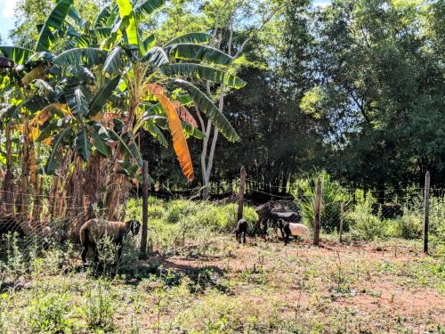 Un Oasis Natural a Minutos de Asunción Un Oasis Natural a Minutos de Asunción