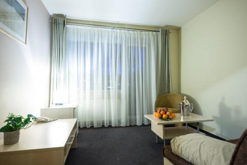 Hotel Audenis - image 11