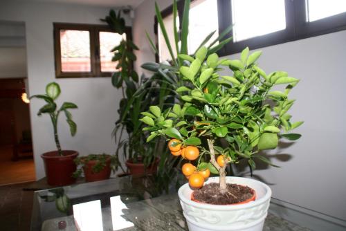 Hotel Venta Magullo - image 14