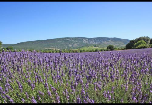 Hôtel Select, Salon-de-Provence (photo 10)