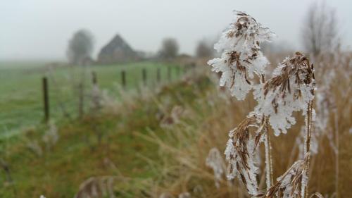 Bed In Waterland - image 8