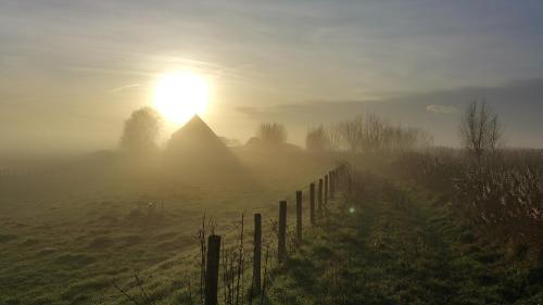 Bed In Waterland - image 2