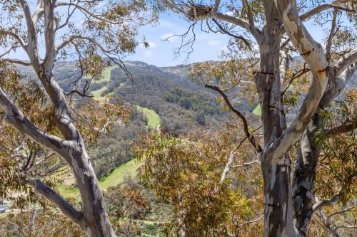 Crackenback Express - Tyrola 13, Thredbo (fotografie 6)