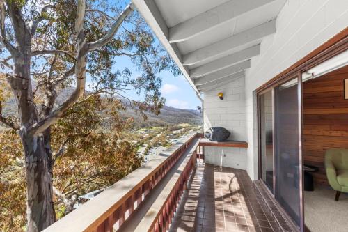 Crackenback Express - Tyrola 13, Thredbo (fotografie 7)