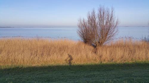 Bed In Waterland - main image