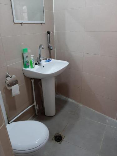 Babulya House - image 13