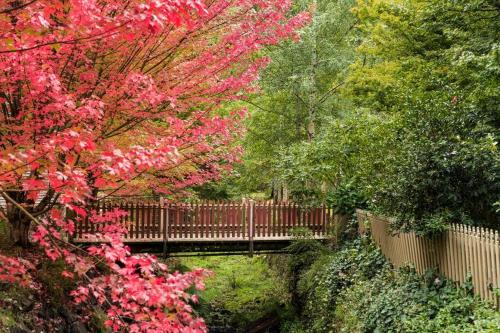 The Quarters at Windsor House Walhalla in Walhalla