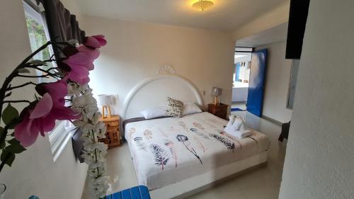 HOSTAL DEL ELEFANTE in Tepoztlán, Mexico