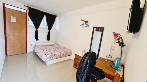 HOSTAL DEL ELEFANTE in Tepoztlán, Mexico