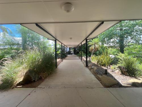 花園, 阿爾伯特公園汽車旅館 (Albert Park Motor Inn) in 朗芮