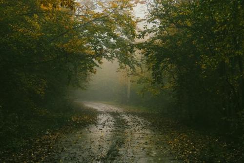 chemi kera Chalet chemi kera Chalet