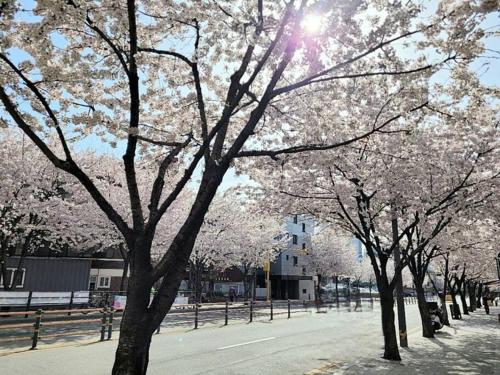 NEW Seoul VERA HOUSE