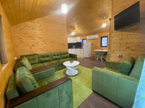 Green World in Antarut