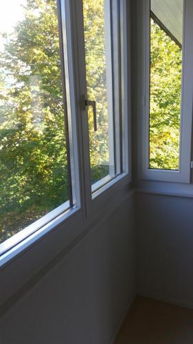 Gästezimmer mit Gartenblick, Zúrich