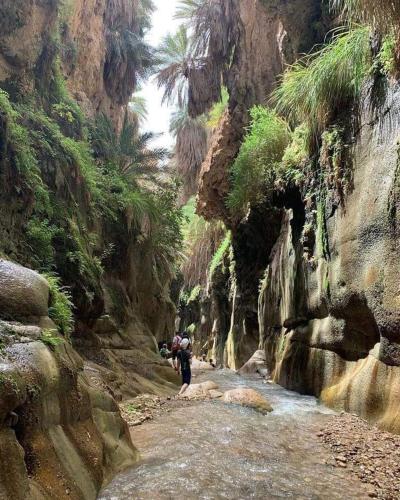 family home Lodge in Dana