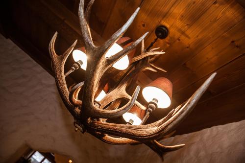 Alpenhotel Tirolerhof - image 11